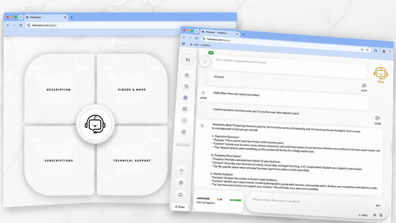 HoloNeos AI application interface